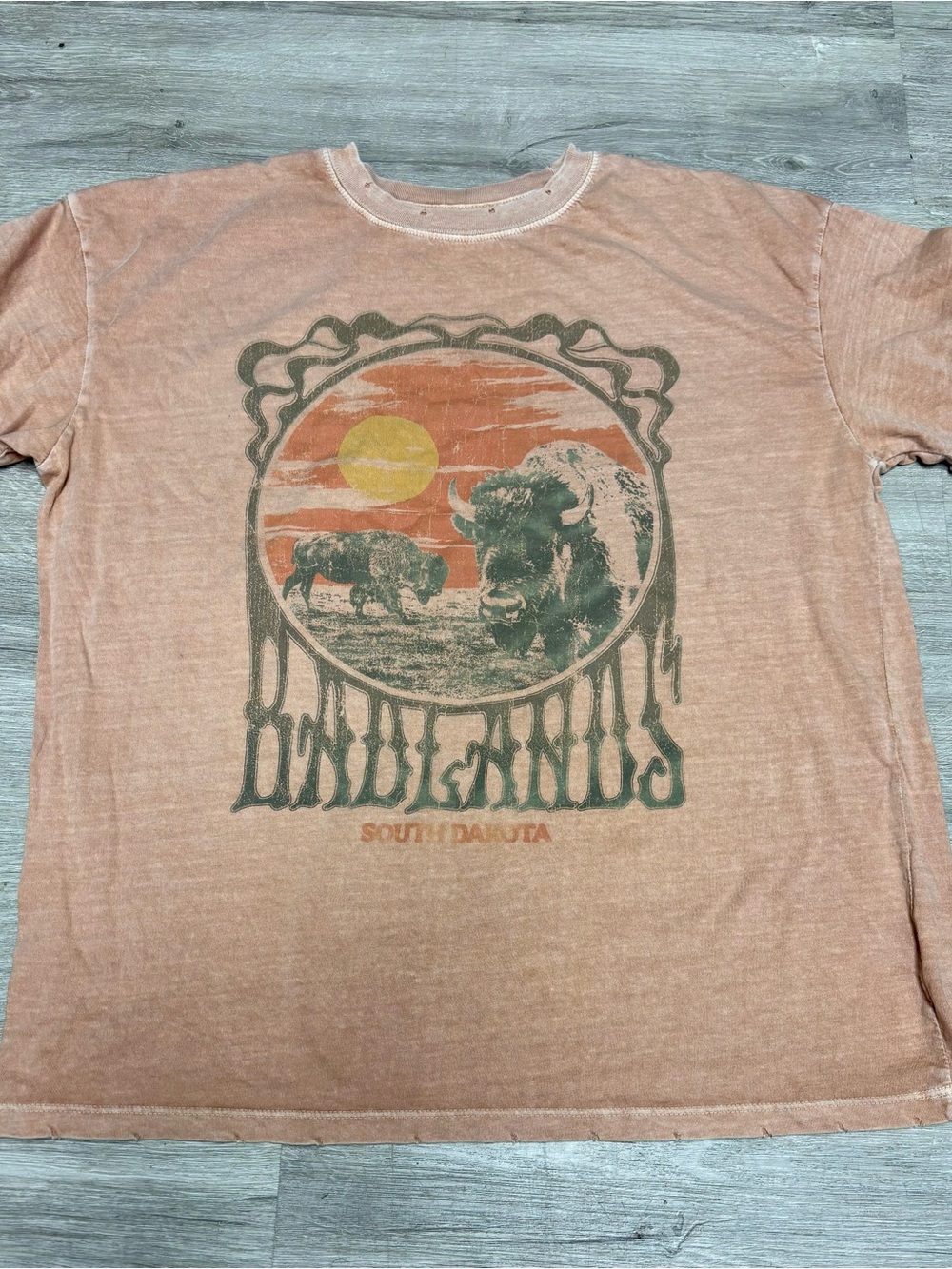 Girl Dangerous Free People Distressed Badlands South Dakota T-Shirt Women’s Med